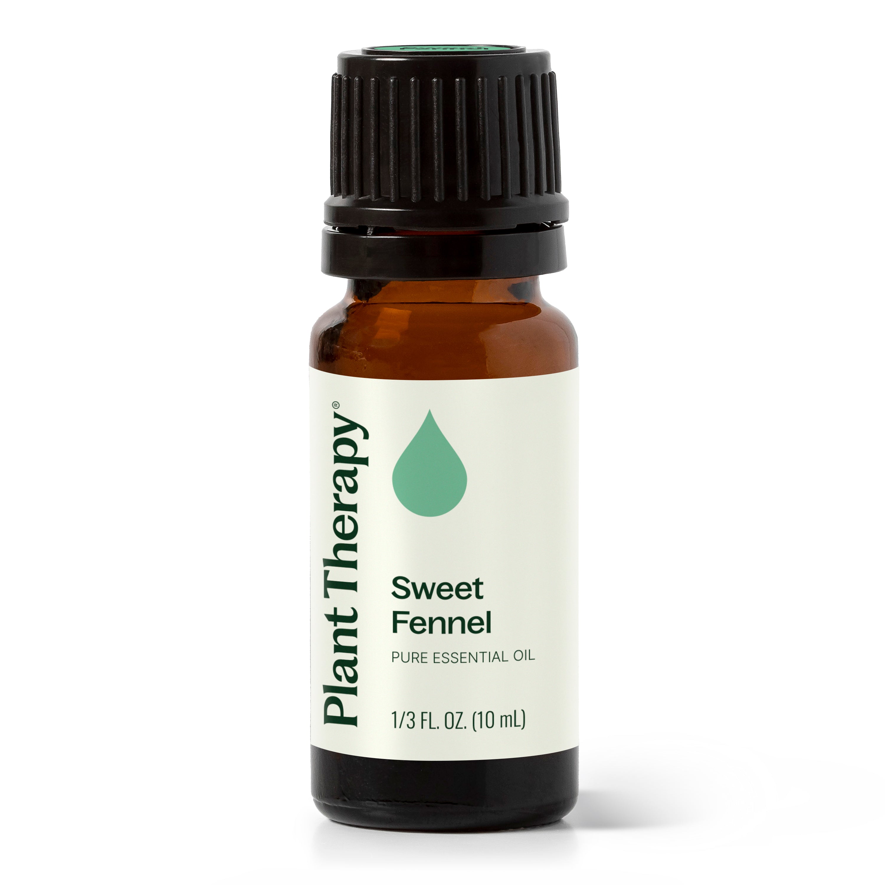 Sweet Fennel Essential Oil – Plant Therapy
