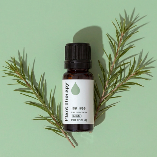 Tea Tree Essential Oil