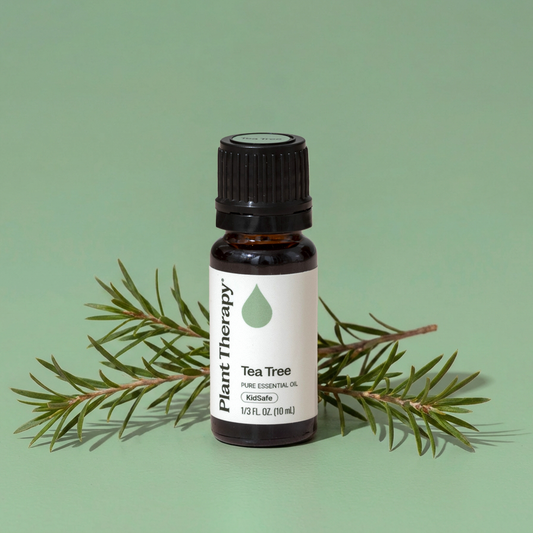 Tea Tree Essential Oil