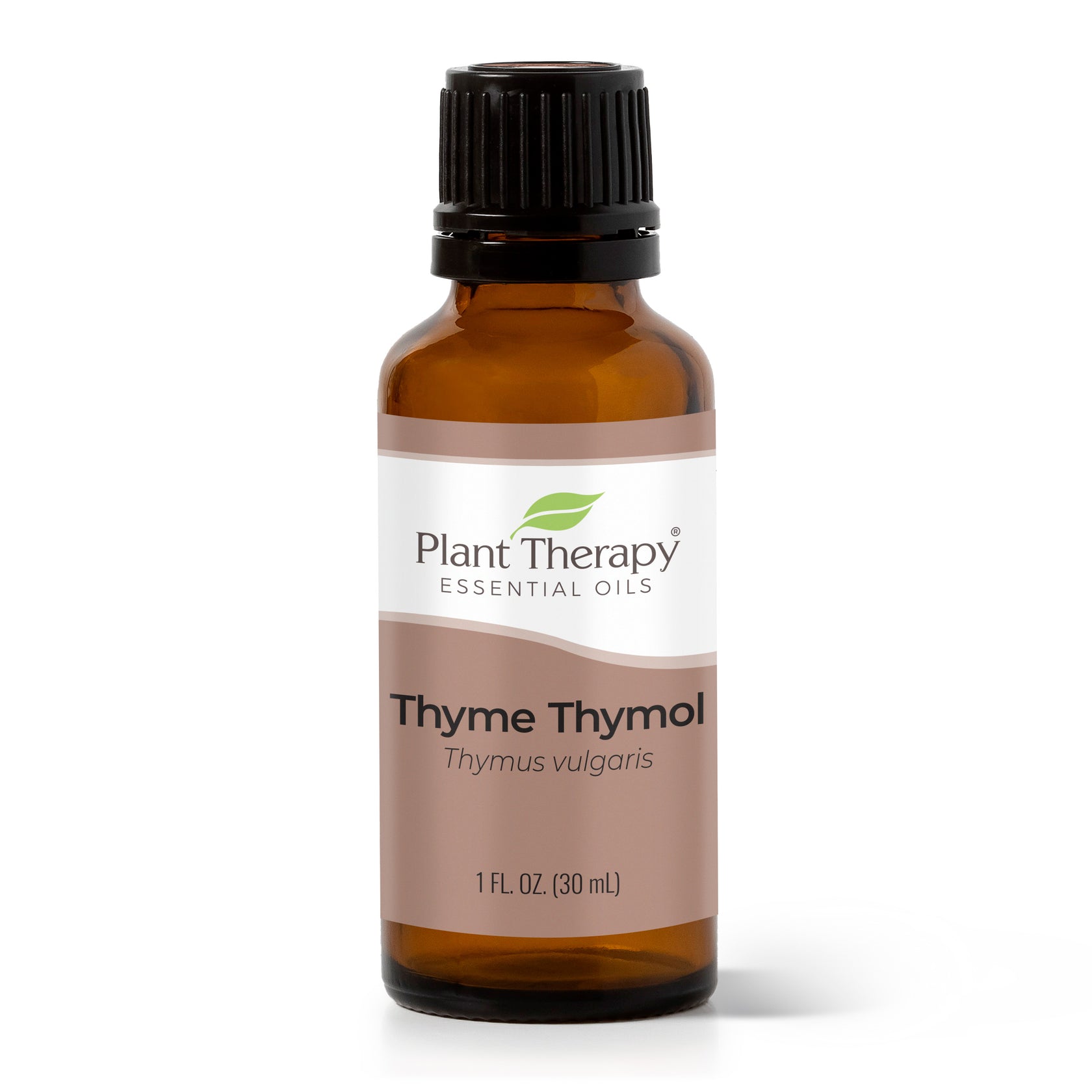 Thyme Thymol Essential Oil Plant Therapy