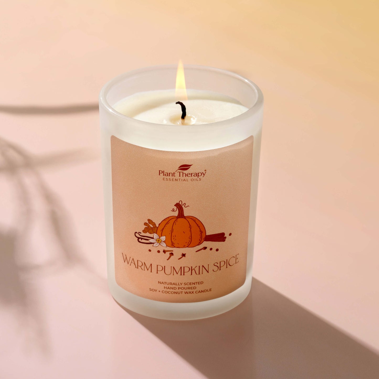 Warm Pumpkin Spice Naturally Scented Candle