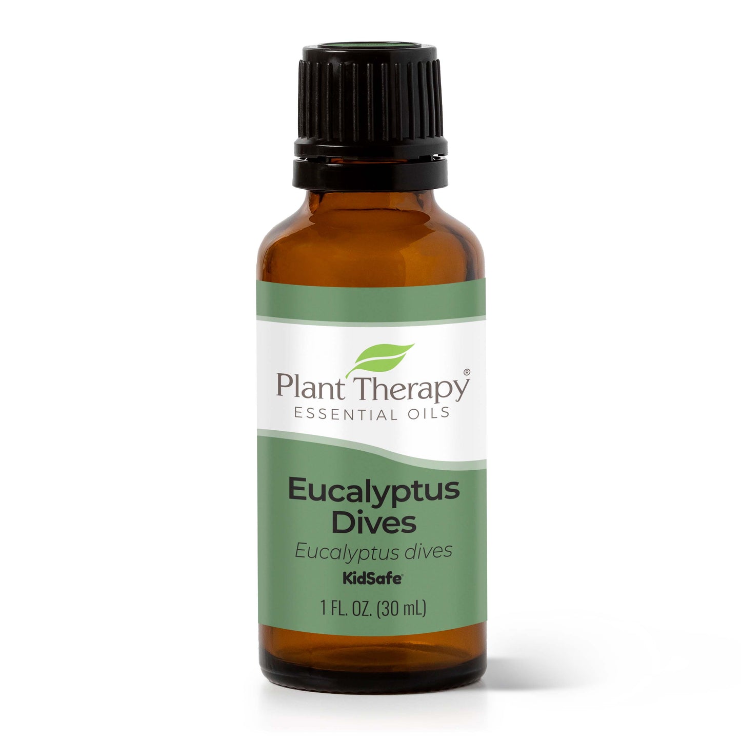 Eucalyptus Dives Essential Oil