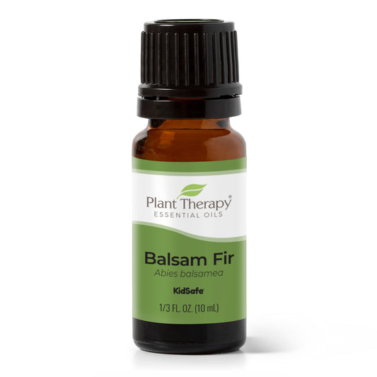 Balsam Fir Essential Oil