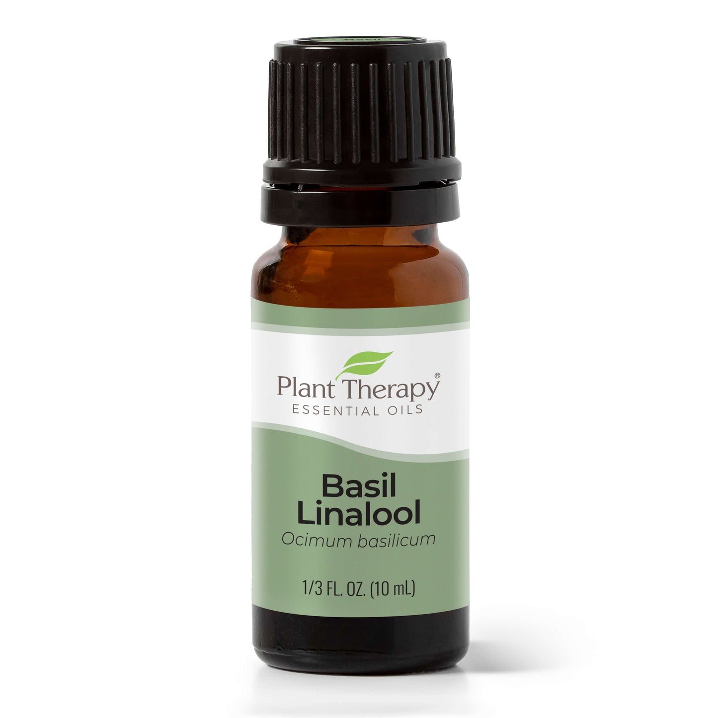 Basil Linalool Essential Oil