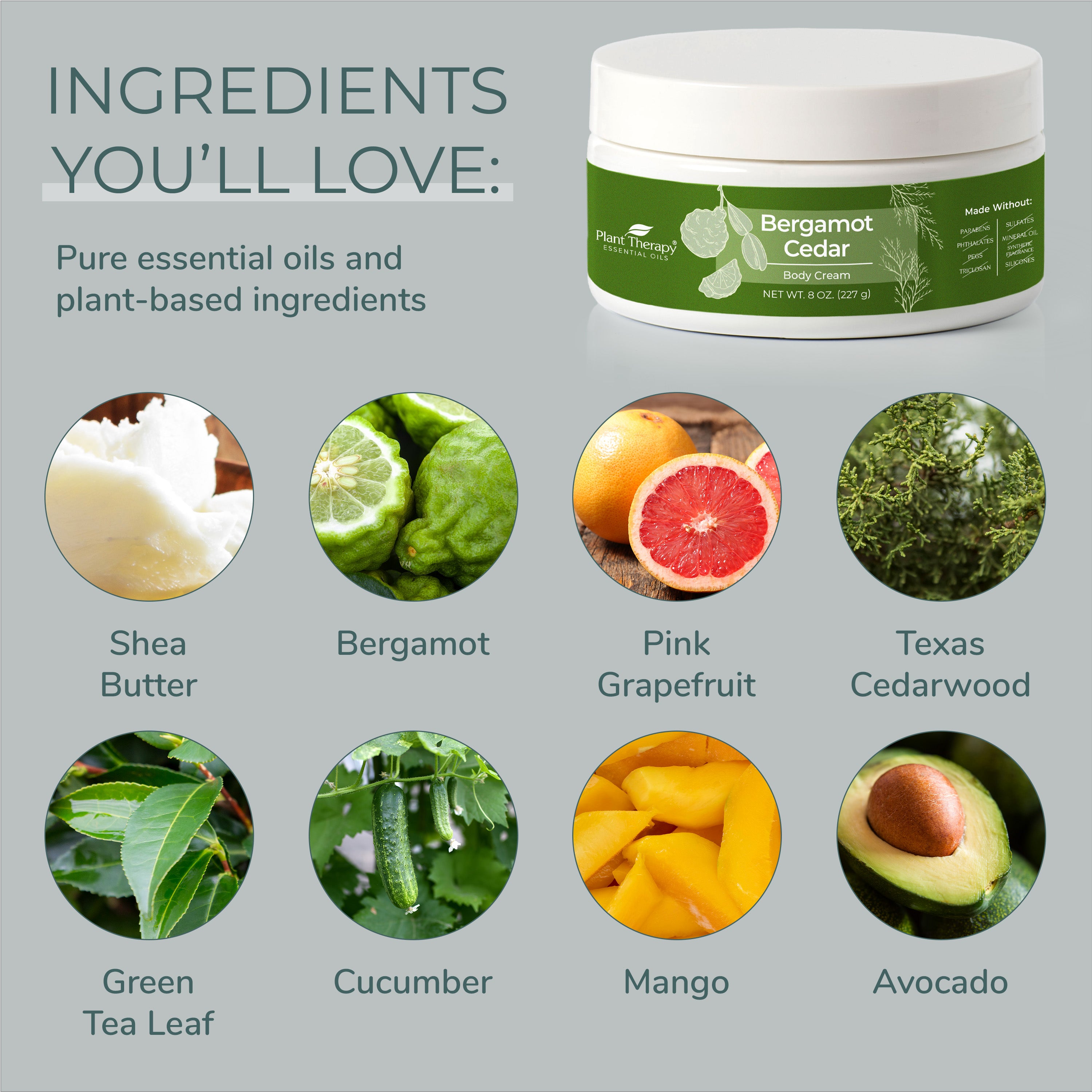 Bergamot Cedar Body Cream Plant Therapy