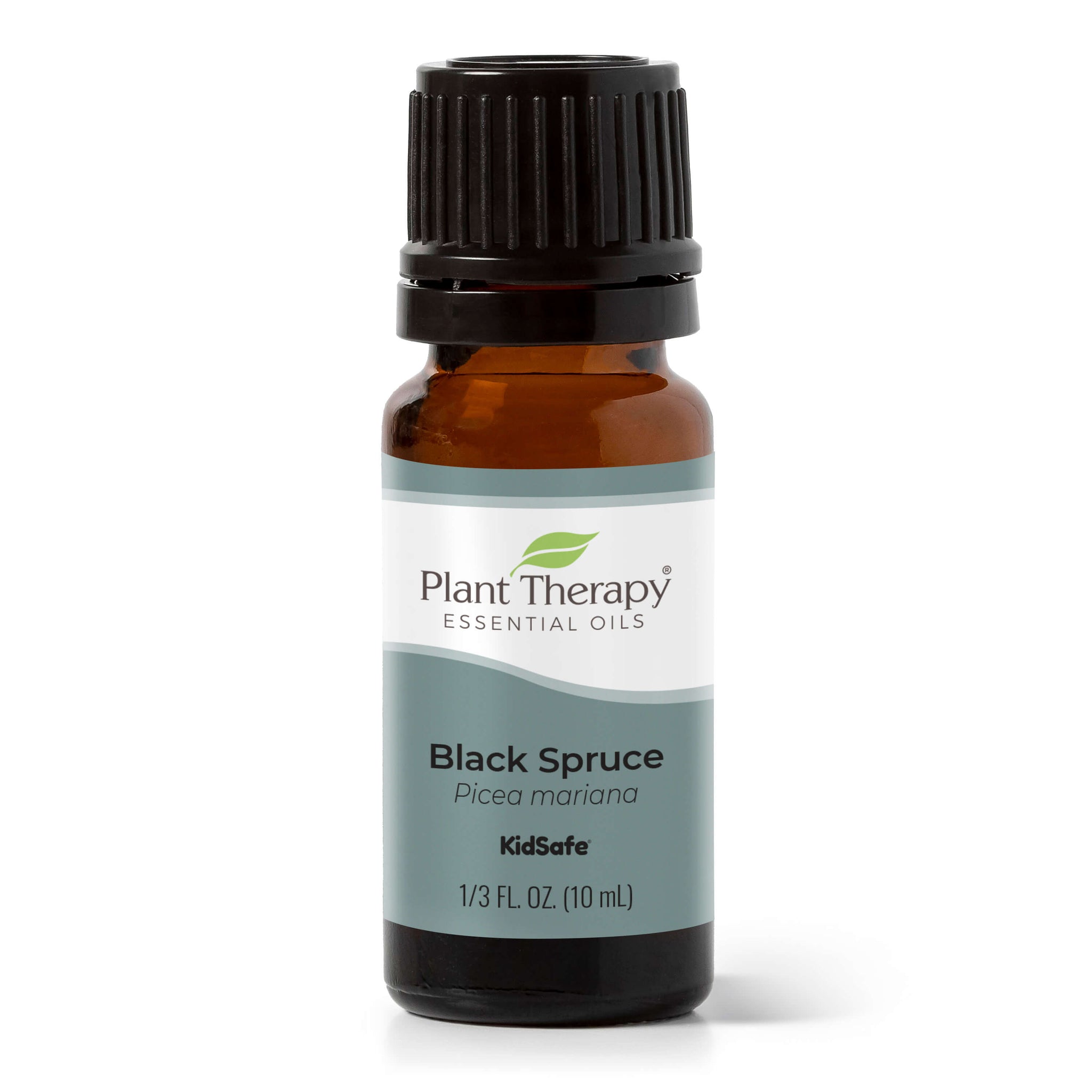 Black Spruce Essential Oil Plant Therapy