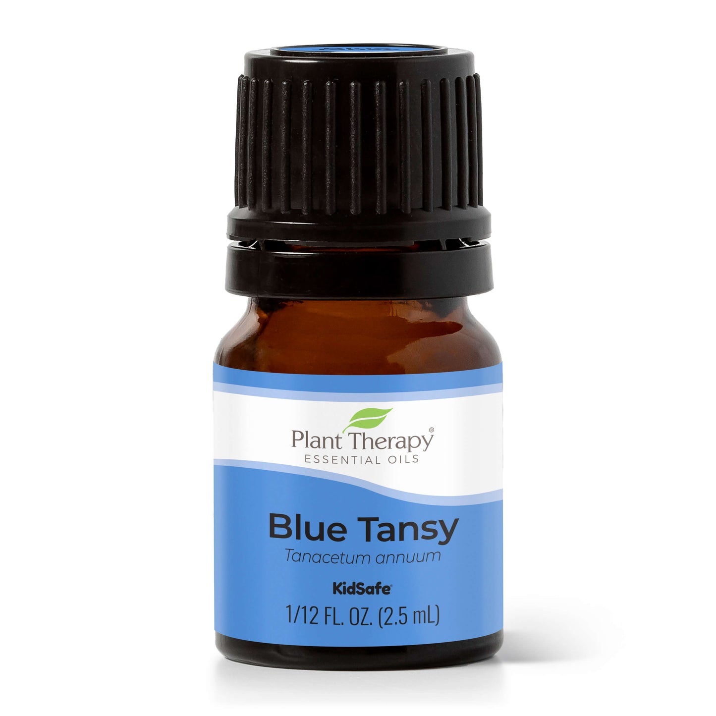 Plant Therapy Blue Tansy Essential Oil 5 ml (1/6 oz) 100% Pure