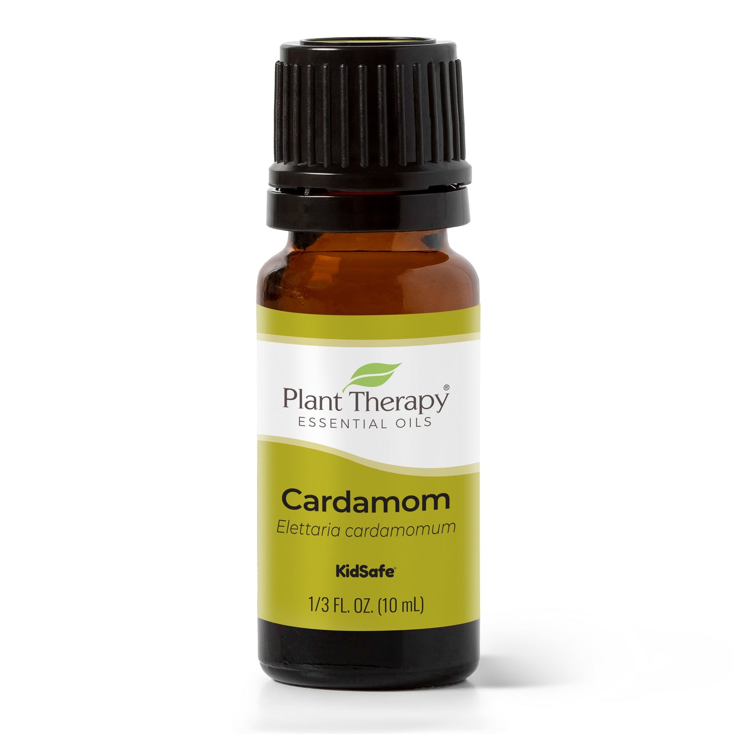 Cardamom Essential Oil