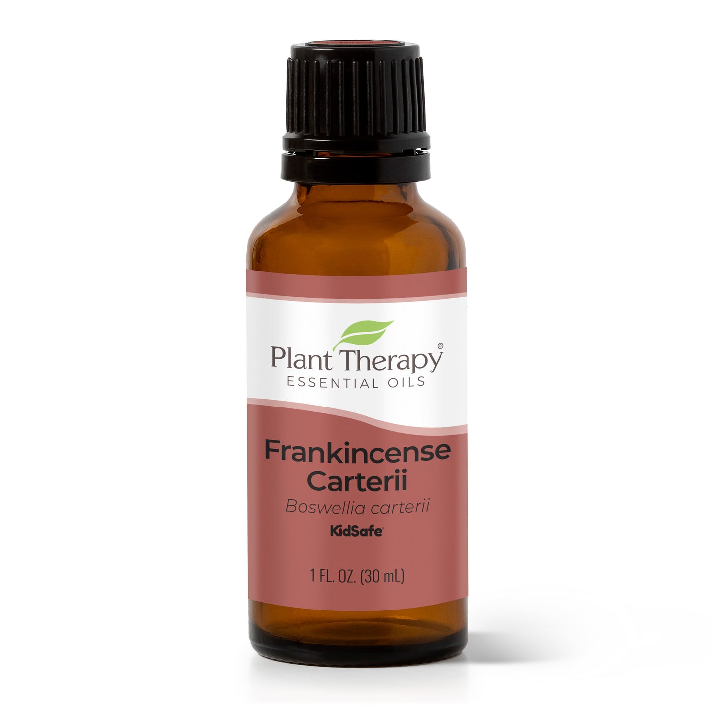 Plant Therapy Frankincense Carterii Essential Oil 10 ml (1/3 oz) 100% Pure, Undiluted, Therapeutic Grade