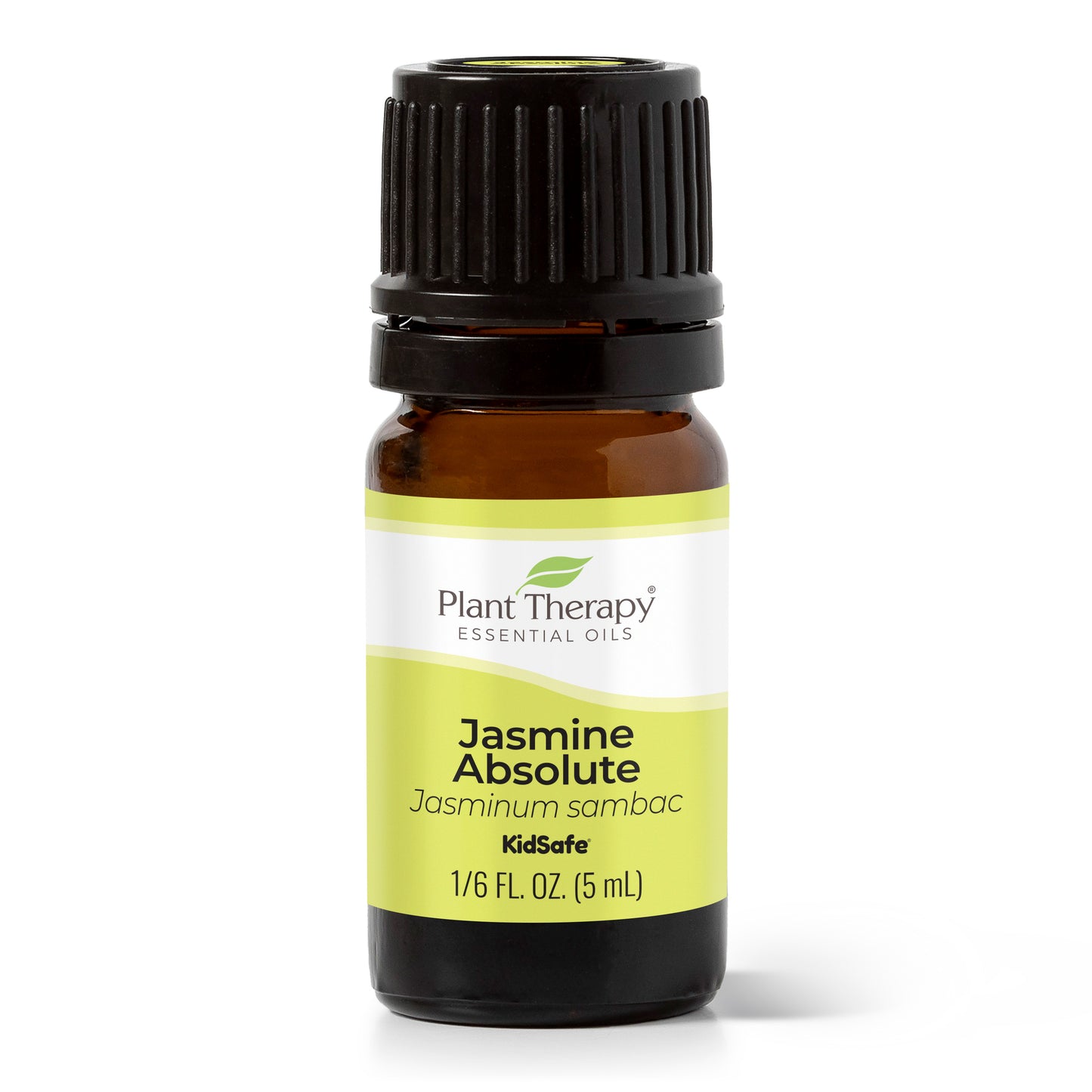 Plant Therapy Jasmine Absolute Essential Oil | 100% Pure, Undiluted, Natural Aromatherapy, Therapeutic Grade | 2.5 ml