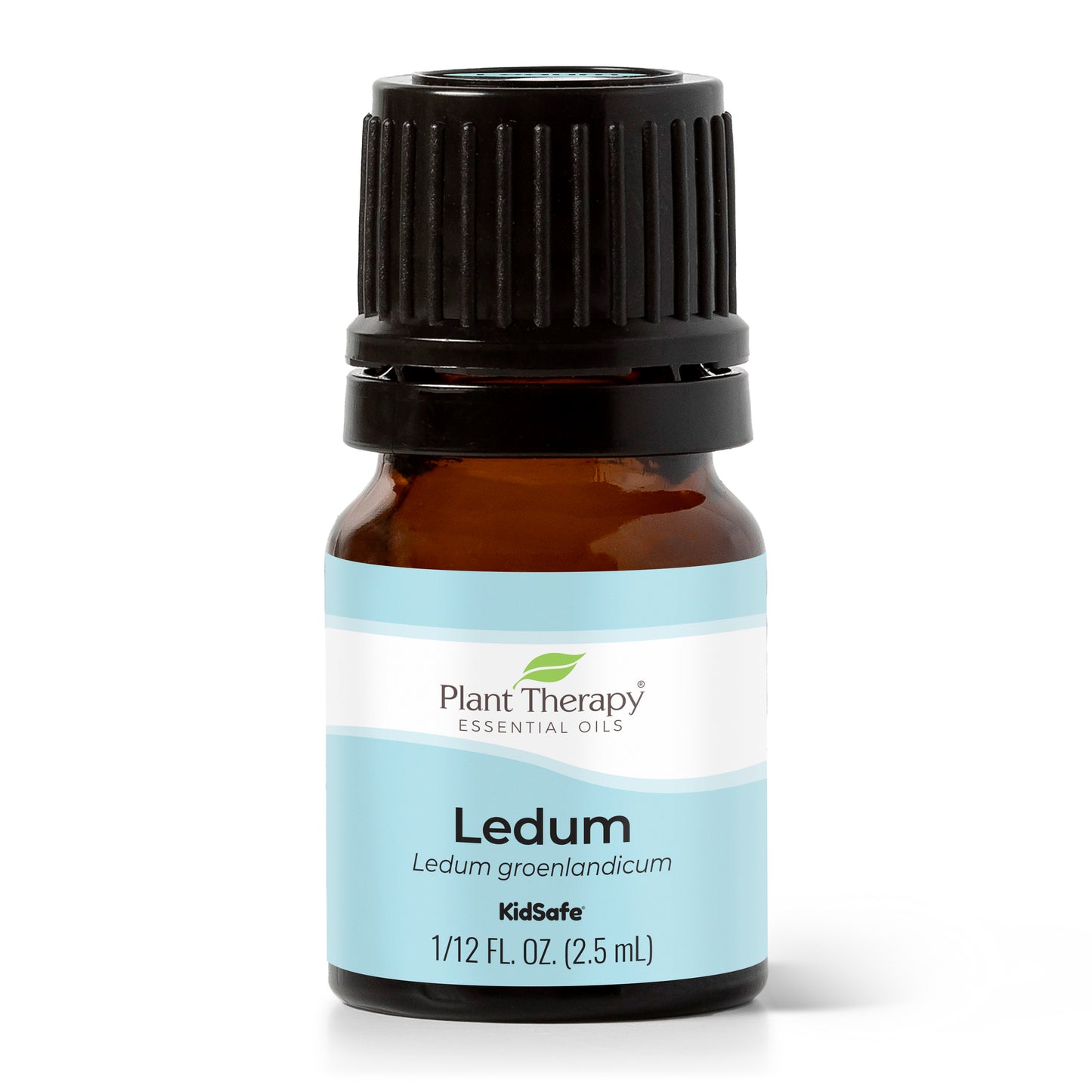 Ledum Essential Oil