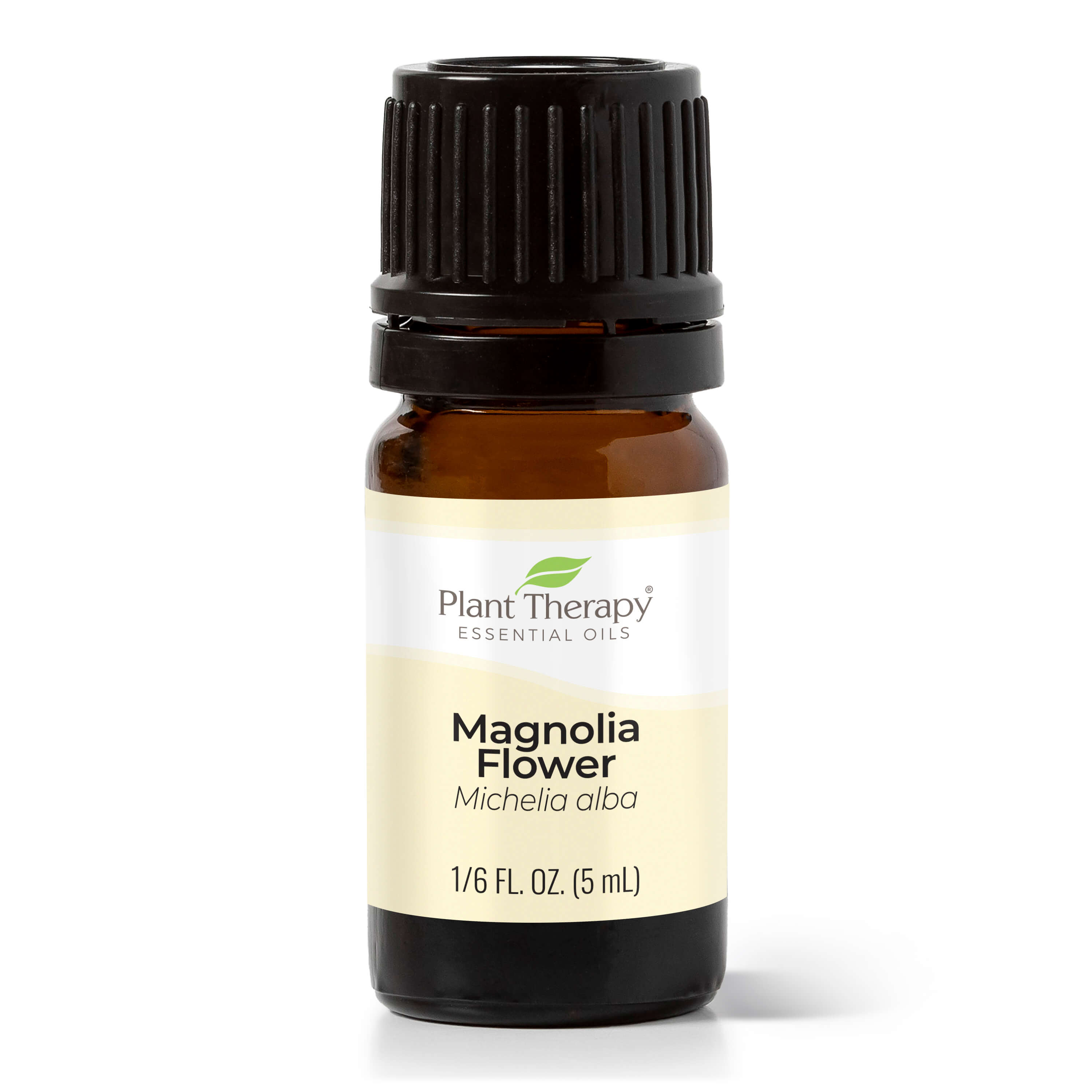 magnolia flower essential oil – plant therapy