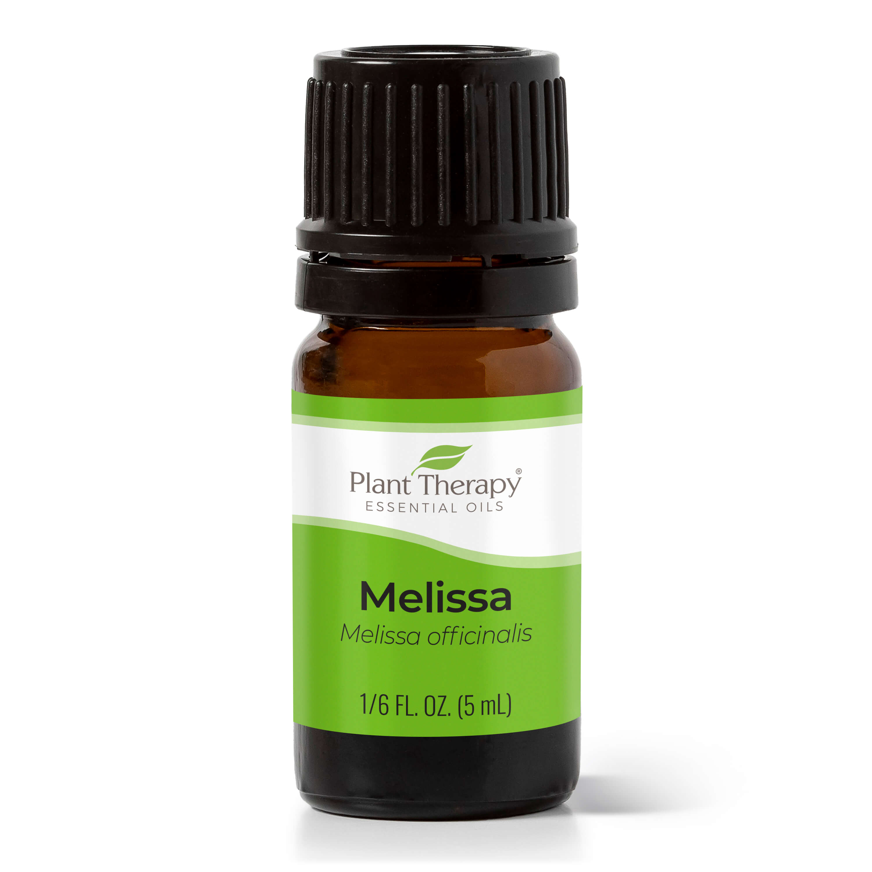 Melissa Essential Oil – Plant Therapy