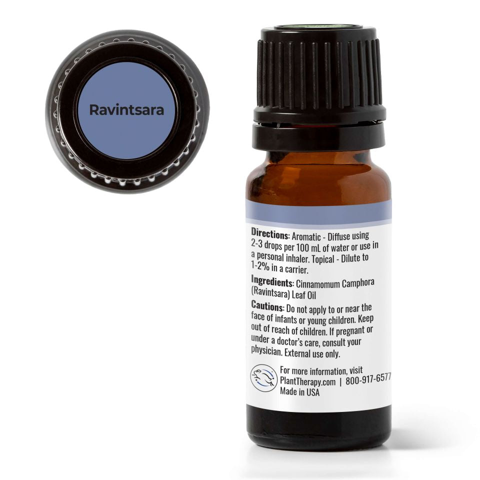 Cure Ravintsara Ravintsara Essential Oil – Plant Therapy