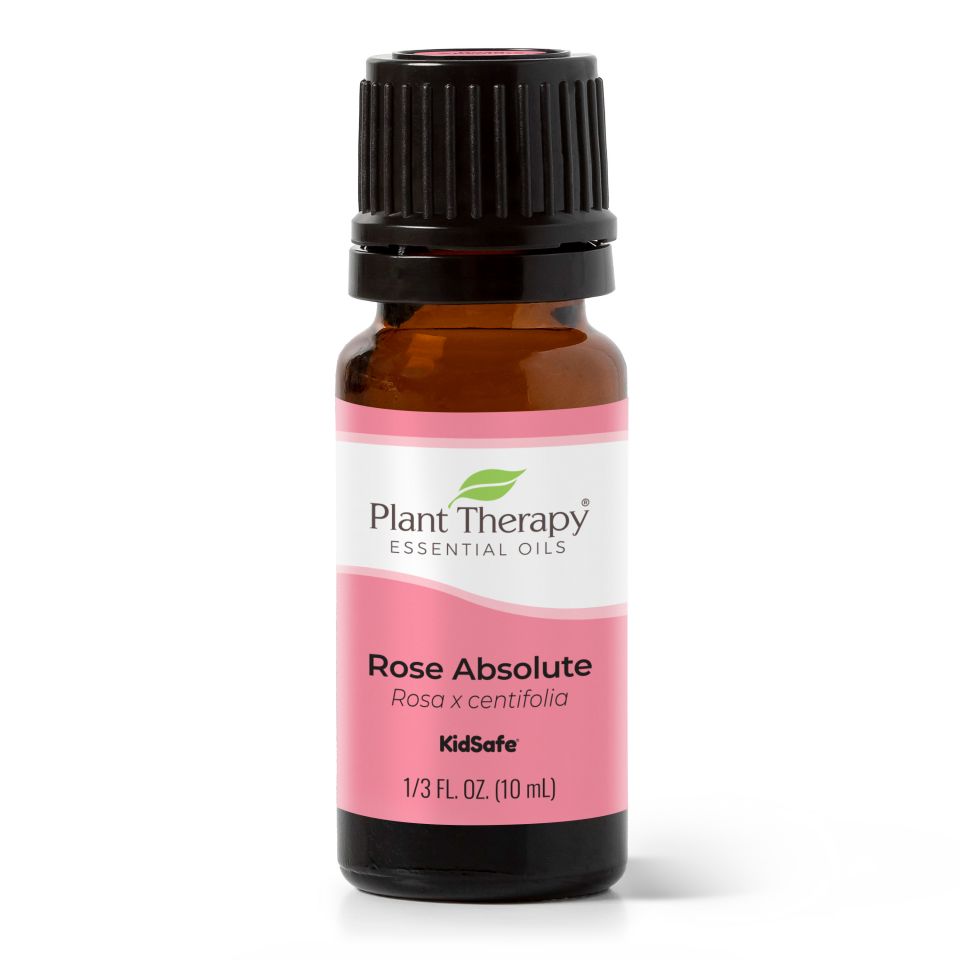 plant therapy rose absolute oil