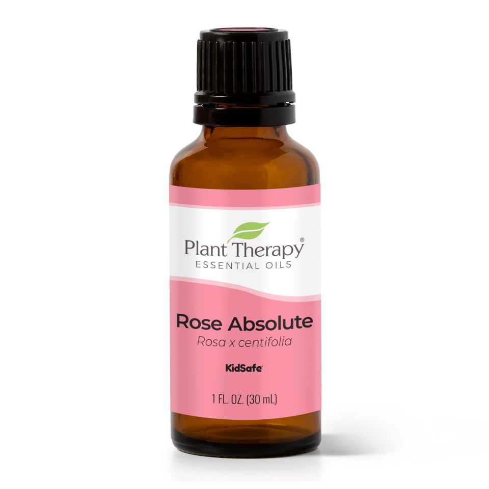 plant therapy rose oil