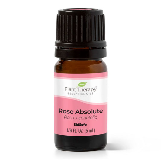 rose absolute essential oil