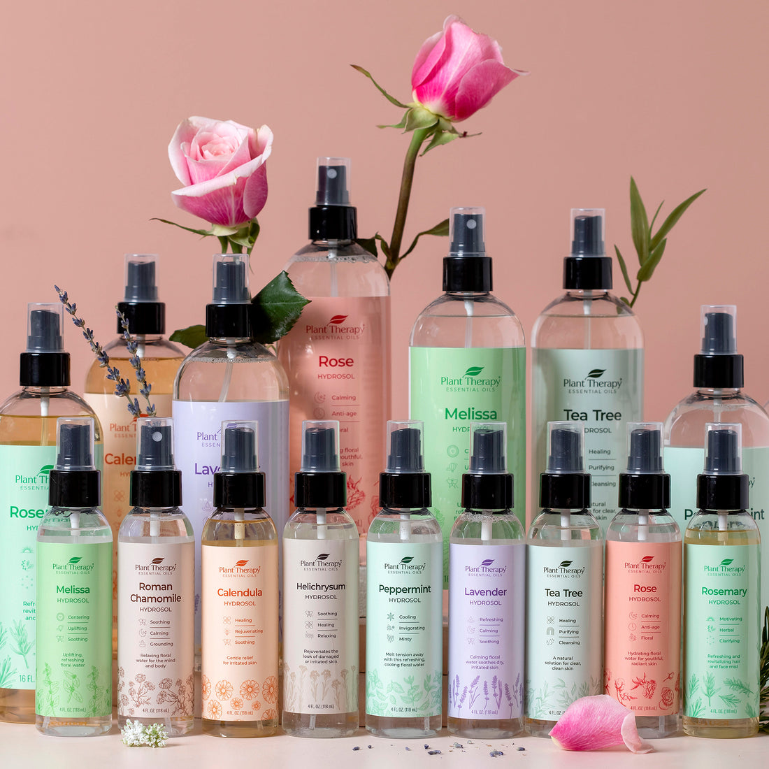 Tea Tree Hydrosol – Plant Therapy