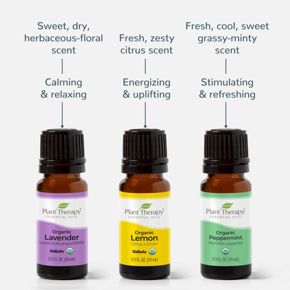 Plant Therapy Organic Singles 10mL Essential Oil Sampler Pack, Set of 6 (2  Pack), 1 Piece - Kroger