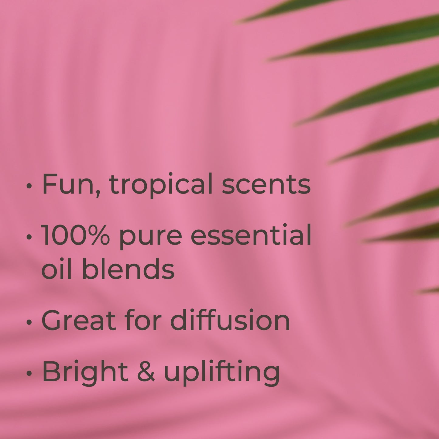 Tropical Scents Home Set