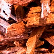 Australian Sandalwood