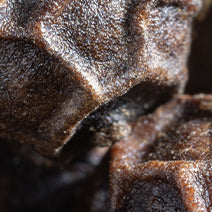 Black Pepper Extract