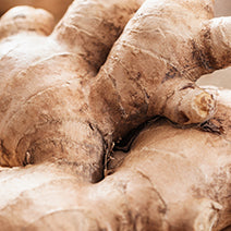 Ginger Root Extract