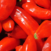 Goji Berry