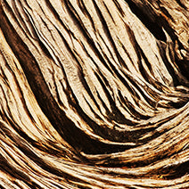 Ho Wood