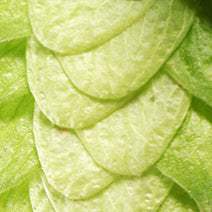 Hops CO2