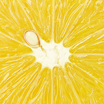 Lemon Steam Distilled