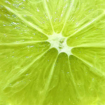 Lime