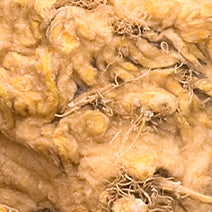 Maca Root