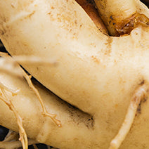 Organic Asian Ginseng