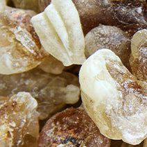 Organic Frankincense Carterii