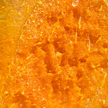 Organic Turmeric