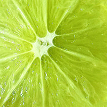 Persian Lime