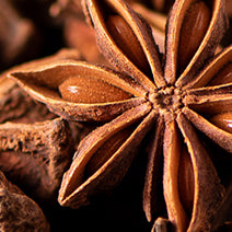 Star Anise