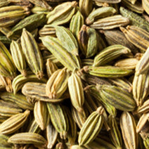 Sweet Fennel