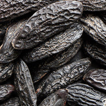 Tonka Bean Absolute