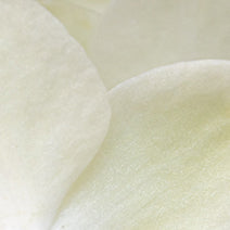 Vanilla Natural Fragrance