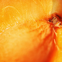Apricot Kernel Oil