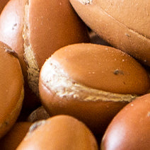 Argan Oil