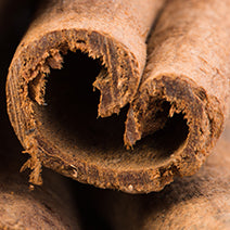 Cinnamon Bark