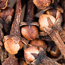 Clove Bud