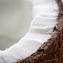 Fractionated Coconut Oil
