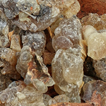 Frankincense Sacra
