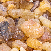 Frankincense Serrata