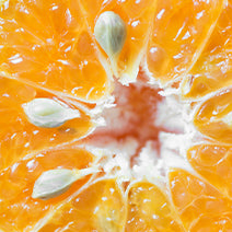Green Mandarin