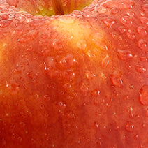 Sodium Cocoyl Apple Amino Acids